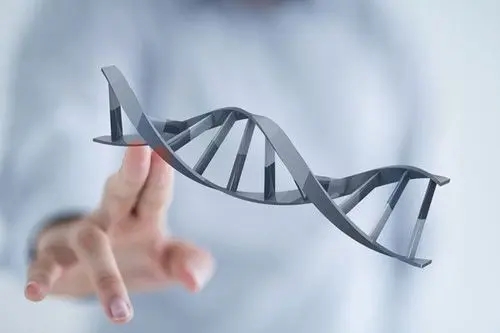 1631947877-2021091806511796.jpg